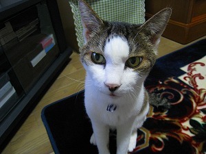 IMG_6479.jpg