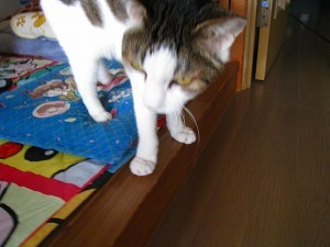 IMG_6578.jpg