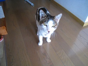 IMG_7298.jpg
