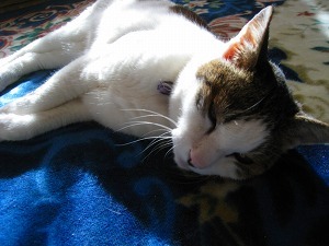 IMG_7712.jpg