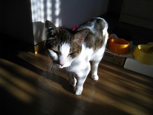 IMG_7747.jpg