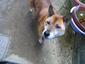 IMG_7778.jpg