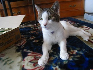 IMG_8617.jpg