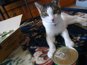 IMG_8625.jpg