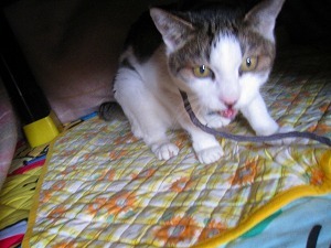 IMG_8840-0.jpg
