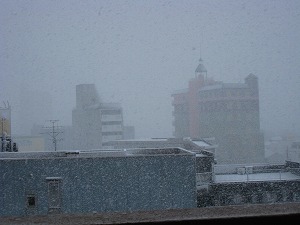 IMG_8894.jpg