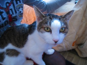 IMG_9159.jpg
