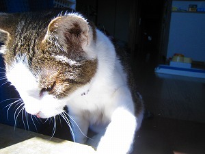 IMG_9257.jpg