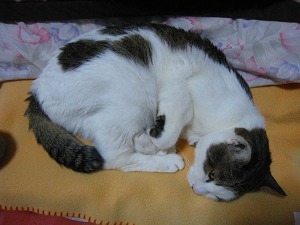 IMG_9342.jpg