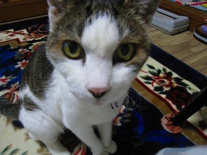 IMG_9625.jpg