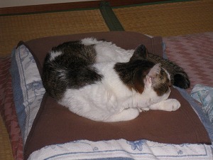 IMG_9891.jpg