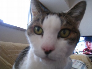 IMG_9917.jpg
