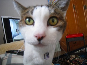 IMG_9920.jpg