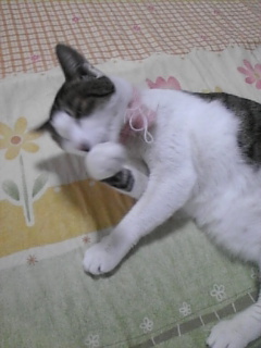 Image003~00.jpg