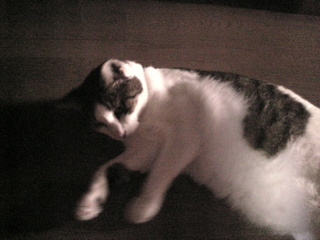 Image005.jpg