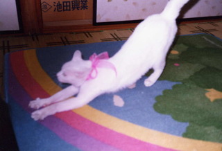 Pim0018.jpg