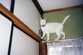 Pim0023.jpg