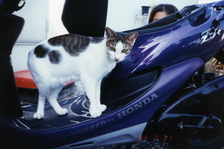 Pim0029.jpg