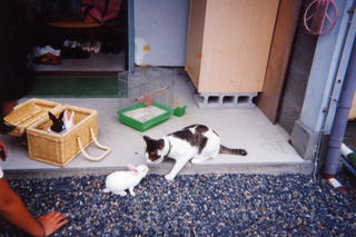 Pim0031.jpg