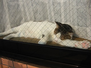 aIMG_5750.jpg