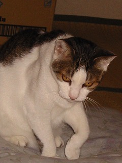 aIMG_5754.jpg