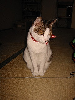 aIMG_5896.jpg