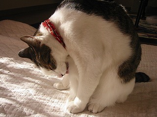 aIMG_6007.jpg
