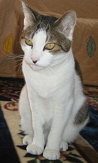 aIMG_62031.jpg