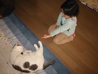 aIMG_6827.jpg