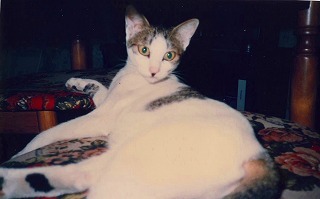 conv0134.jpg