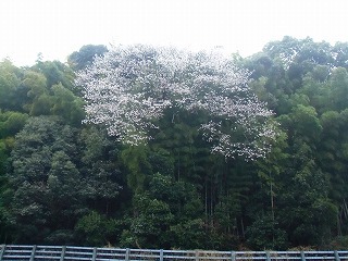conv0317.jpg