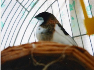 conv0328.jpg