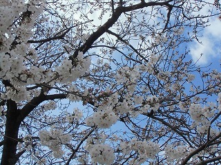 conv0342.jpg