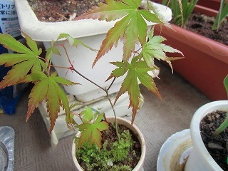 conv0430.jpg