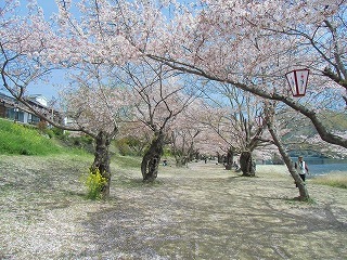 conv0463.jpg