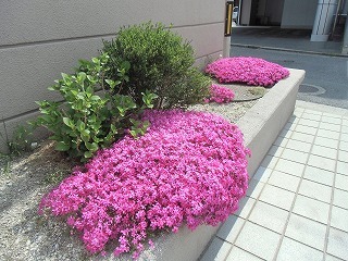 conv0777.jpg