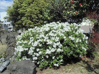conv0863.jpg