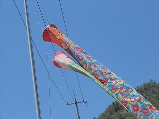 conv0872.jpg