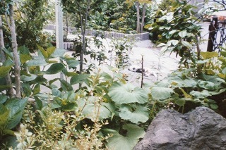 conv0942.jpg