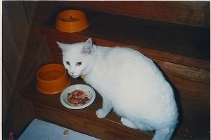 miru.jpg