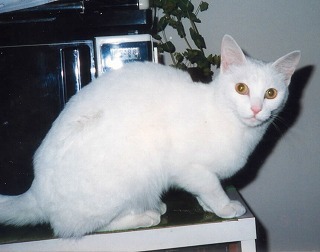 miru7.jpg