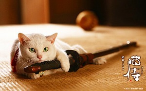 nekozWP001_1280800.jpg