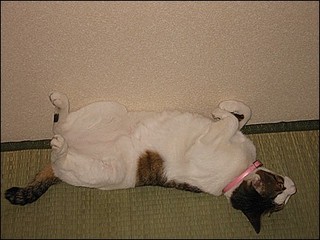 s-108-0840_IMG.jpg