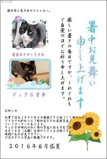 s-2016 8月.jpg