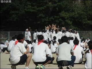 s-CIMG0093.jpg