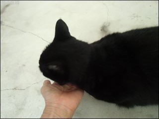 s-CIMG0113.jpg
