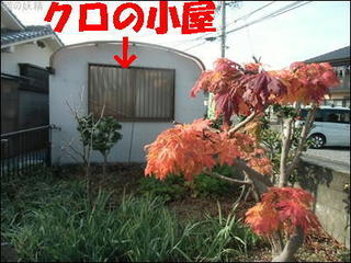 s-CIMG0268.jpg