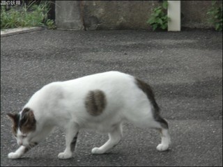 s-CIMG0309.jpg