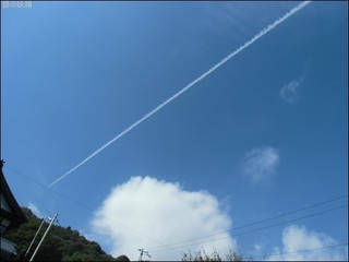 s-CIMG0493.jpg