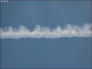 s-CIMG0494.jpg